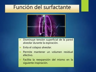 Función del surfactante
 Disminuye tensión superficial de la pared
alveolar durante la espiración.
 Evita el colapso alveolar.
 Permite mantener un volumen residual
efectivo.
 Facilita la reexpansión del mismo en la
siguiente inspiración.
 