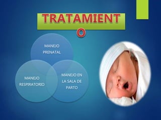 MANEJO
PRENATAL
MANEJO EN
LA SALA DE
PARTO
MANEJO
RESPIRATORIO
 