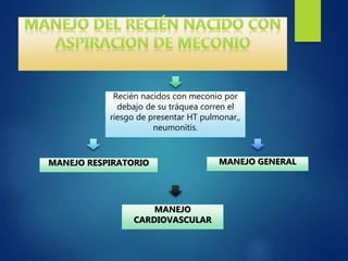 Recién nacidos con meconio por
debajo de su tráquea corren el
riesgo de presentar HT pulmonar,,
neumonitis.
MANEJO RESPIRATORIO
MANEJO
CARDIOVASCULAR
MANEJO GENERAL
 