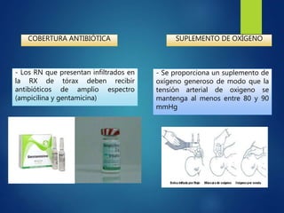 COBERTURA ANTIBIÓTICA
- Los RN que presentan infiltrados en
la RX de tórax deben recibir
antibióticos de amplio espectro
(ampicilina y gentamicina)
SUPLEMENTO DE OXÍGENO
- Se proporciona un suplemento de
oxígeno generoso de modo que la
tensión arterial de oxigeno se
mantenga al menos entre 80 y 90
mmHg
 