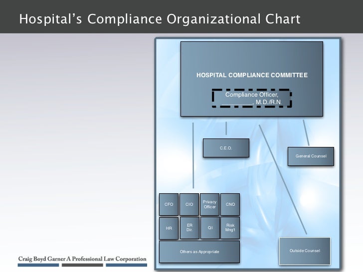 sample hospital compliance program hr organizational chart sample