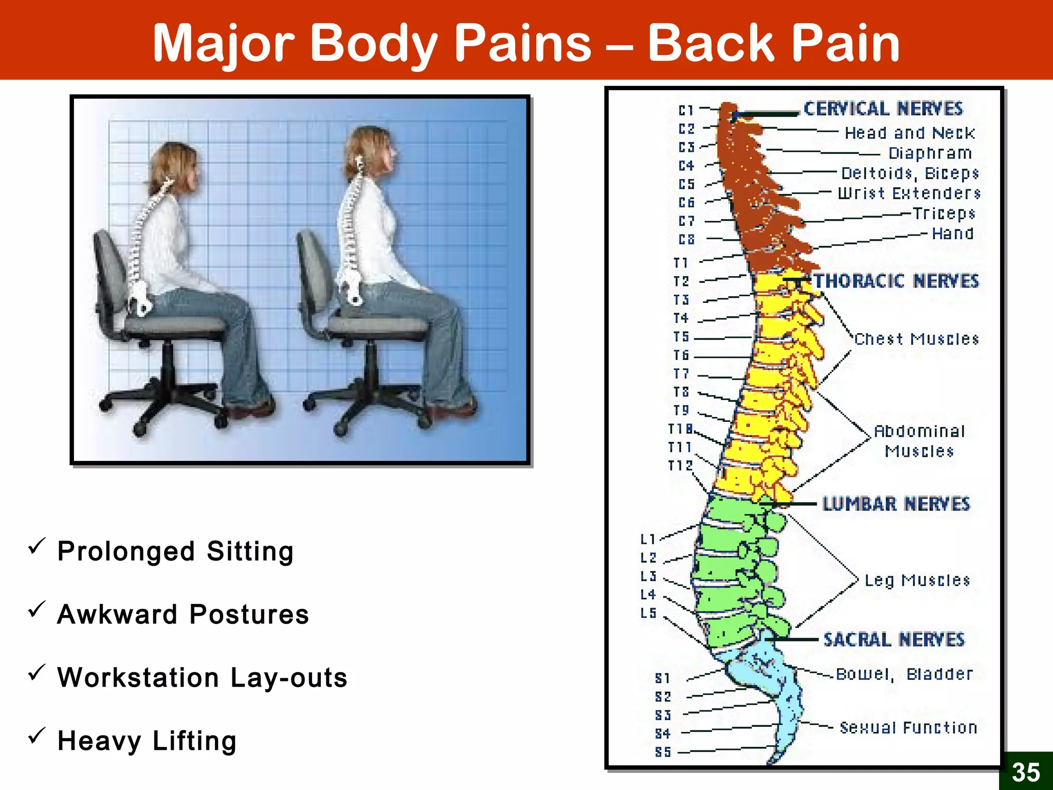 Major Body Pains – Back Pain
35
 Prolonged Sitting
 Awkward Postures
 Workstation Lay-outs
 Heavy Lifting
 