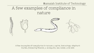 A few examples of compliance in
nature
Ramaiah Institute of Technology
A few exa m ples of com plia nce in na ture: a spine, bee wings, elepha nt
trunks, bloom ing flowers, a m osquito, sea weed, a nd eels
 