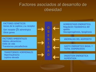 Factores asociados al desarrollo de obesidad OBE S I DAD FACTORES GENETICOS Genes de la Leptina y su receptor Gen receptor   3 adrenérgico  Otros genes FACTORES AMBIENTALES Hábitos alimenticios Estilo de vida Transtornos psicoafectivos TRANSTORNOS HORMONALES Hiperinsulinismo Leptina elevada INGESTION ENERGETICA AUMENTADA GASTO ENERGETICO BASAL Y TOTAL DISMINUIDOS ANOMALIAS DEL ADIPOSITO HOMEOSTASIS ENERGETICA Regulación hipolatámica del apetito Glucogenogénesis, lipogénesis 
