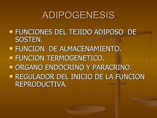 ADIPOGENESIS FUNCIONES DEL TEJIDO ADIPOSO  DE SOSTEN. FUNCION  DE ALMACENAMIENTO. FUNCION TERMOGENETICO. ORGANO ENDOCRINO Y PARACRINO. REGULADOR DEL INICIO DE LA FUNCION REPRODUCTIVA. 