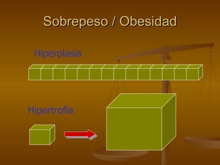 Sobrepeso / Obesidad Hiperplasia Hipertrofia 