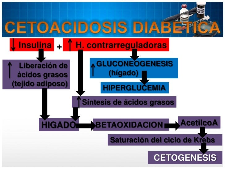 Complicaciones agudas de la diabetes mellitus Complicaciones agudas de la diabetes mellitus