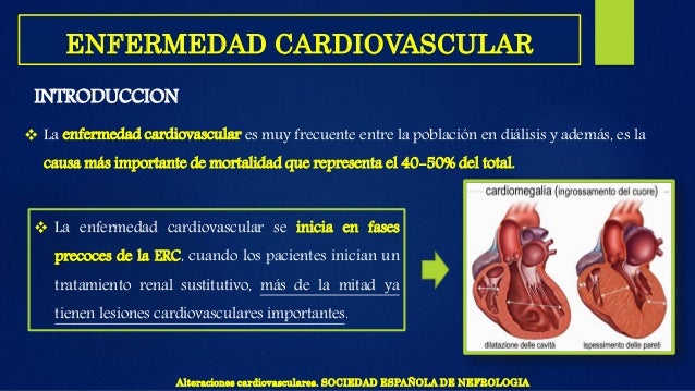 Manual de gerencia de la calidad.pdf