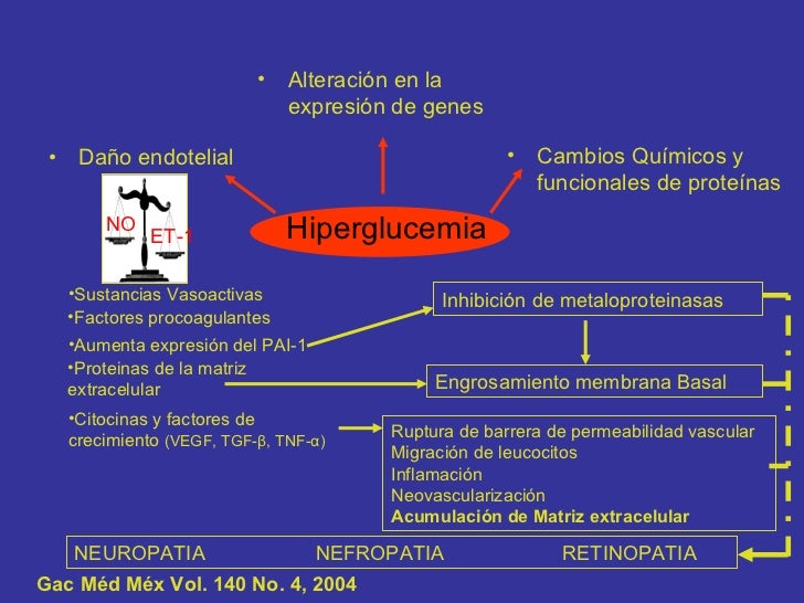 Complicaciones cronicas de la diabetes mellitus hesv Complicaciones cronicas de la diabetes mellitus hesv