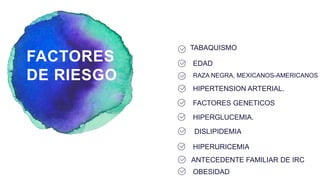 HIPERTENSION ARTERIAL.
EDAD
RAZA NEGRA, MEXICANOS-AMERICANOS
FACTORES
DE RIESGO
FACTORES GENETICOS
HIPERGLUCEMIA.
ANTECEDENTE FAMILIAR DE IRC
HIPERURICEMIA
DISLIPIDEMIA
OBESIDAD
TABAQUISMO
 