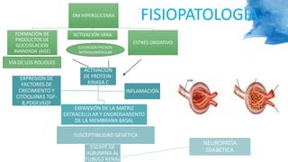 DM HIPERGLICEMIA
FORMACIÓN DE
PRODUCTOS DE
GLICOSILACION
AVANZADA (AGE)
ACTIVACIÓN SRRA
ESTRÉS OXIDATIVO
ACTIVACION
DE PROTEIN-
KINASA C
EXPANSIÓN DE LA MATRIZ
EXTRACELULAR Y ENGROSAMIENTO
DE LA MEMBRANA BASAL
SUSCEPTIBILIDAD GENÉTICA
ESCAPE DE
ALBUMINA AL
TUBULO RENAL
NEUROPATÍA
DIABÉTICA
EXPRESIÓN DE
FACTORES DE
CRECIMIENTO Y
CITOQUINAS TGF-
B,PDGF,VEGF
INFLAMACIÓN
FISIOPATOLOGIA
VÍA DE LOS POLIOLES
ELEVACIÓN PRESIÓN
INTRAGLOMERULAR
 
