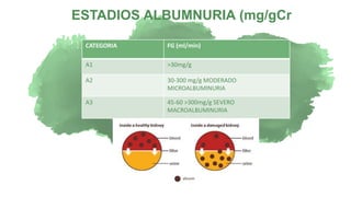 “A person who never made
a mistakenever tried
anything new”
ESTADIOS ALBUMNURIA (mg/gCr
CATEGORIA FG (ml/min)
A1 >30mg/g
A2 30-300 mg/g MODERADO
MICROALBUMINURIA
A3 45-60 >300mg/g SEVERO
MACROALBUMINURIA
 