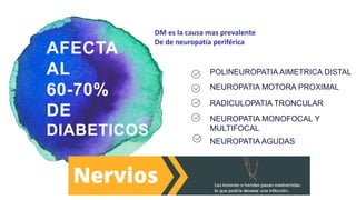 NEUROPATIA MOTORA PROXIMAL
DM es la causa mas prevalente
De de neuropatía periférica
POLINEUROPATIA AIMETRICA DISTAL
AFECTA
AL
60-70%
DE
DIABETICOS
RADICULOPATIA TRONCULAR
NEUROPATIA MONOFOCAL Y
MULTIFOCAL
NEUROPATIA AGUDAS
 