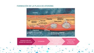 DISMINUCIÓN DEL
DIÁMETRO VASCULAR
ESTENOSIS
DISMINUCIÓN
VELOCIDAD
CIRCULACIÓN DE
SANGRE
ISQUEMIA POR
FALTA DE
NUTRIENTES
 