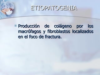 ETIOPATOGENIA

   Producción de colágeno por los
    macrófagos y fibroblastos localizados
    en el foco de fractura.
 