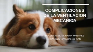 COMPLICACIONES
DE LA VENTILACION
MECANICA
R2A LYDIA ABIGAIL NALON MARTINEZ
HGZ/UQ#14 HERMOSILLO, SON
 