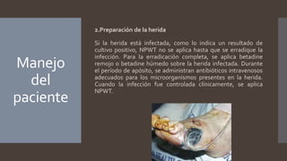 Manejo
del
paciente
2.Preparación de la herida
Si la herida está infectada, como lo indica un resultado de
cultivo positivo, NPWT no se aplica hasta que se erradique la
infección. Para la erradicación completa, se aplica betadine
remojo o betadine húmedo sobre la herida infectada. Durante
el período de apósito, se administran antibióticos intravenosos
adecuados para los microorganismos presentes en la herida.
Cuando la infección fue controlada clínicamente, se aplica
NPWT.
 