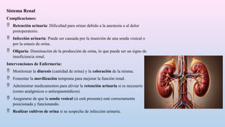 Sistema Renal
Complicaciones:
 Retención urinaria: Dificultad para orinar debido a la anestesia o al dolor
postoperatorio.
 Infección urinaria: Puede ser causada por la inserción de una sonda vesical o
por la estasis de orina.
 Oliguria: Disminución de la producción de orina, lo que puede ser un signo de
insuficiencia renal.
Intervenciones de Enfermería:
 Monitorear la diuresis (cantidad de orina) y la coloración de la misma.
 Fomentar la movilización temprana para mejorar la función renal.
 Administrar medicamentos para aliviar la retención urinaria si es necesario
(como analgésicos o antiespasmódicos).
 Asegurarse de que la sonda vesical (si está presente) esté correctamente
posicionada y funcionando.
 Realizar cultivos de orina si se sospecha de infección urinaria.
 