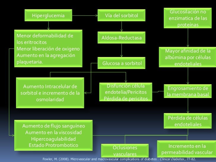 Complicaciones microvasculares Diabetes mellitus Complicaciones microvasculares Diabetes mellitus