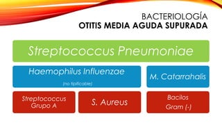 BACTERIOLOGÍA
OTITIS MEDIA AGUDA SUPURADA

Streptococcus Pneumoniae
Haemophilus Influenzae

M. Catarrahalis

(no tipificable)

Streptococcus
Grupo A

S. Aureus

Bacilos

Gram (-)

 