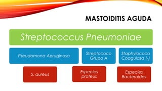 MASTOIDITIS AGUDA
Streptococcus Pneumoniae
Pseudomona Aeruginosa
S. aureus
Especies
proteus
Streptococo
Grupo A
Especies
Bacteroides
Staphylococo
Coagulasa (-)
 