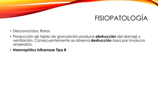 FISIOPATOLOGÍA
• Desconocidos. Raras.
• Producción de tejido de granulación produce obstrucción del drenaje y
ventilación. Consecuentemente se observa destrucción ósea por involucro
anaerobio.
• Haemophilus influenzae Tipo B
 