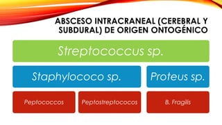 ABSCESO INTRACRANEAL (CEREBRAL Y
SUBDURAL) DE ORIGEN ONTOGÉNICO
Streptococcus sp.
Staphylococo sp.
Peptococcos Peptostreptococos
Proteus sp.
B. Fragilis
 