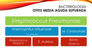BACTERIOLOGÍA
OTITIS MEDIA AGUDA SUPURADA
Streptococcus Pneumoniae
Haemophilus Influenzae
(no tipificable)
Streptococcus
Grupo A S. Aureus
M. Catarrahalis
Bacilos
Gram (-)
 