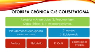 OTORREA CRÓNICA C/S COLESTEATOMA
Aerobios y Anaerobios (S. Pneumoniae).
Oidos fétidos, 5-11 microorganismos.
Pseudomonas Aeruginosa
(Aerobio mas común)
Proteus Klebsiella
S. Aureus
S. Epidermidis
E. Colli
Bacteroides
Fragilis
 