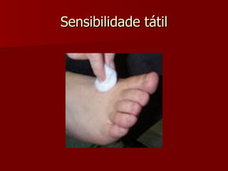 Sensibilidade tátil 