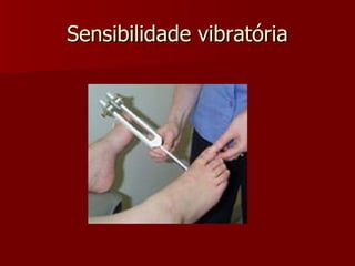Sensibilidade vibratória 