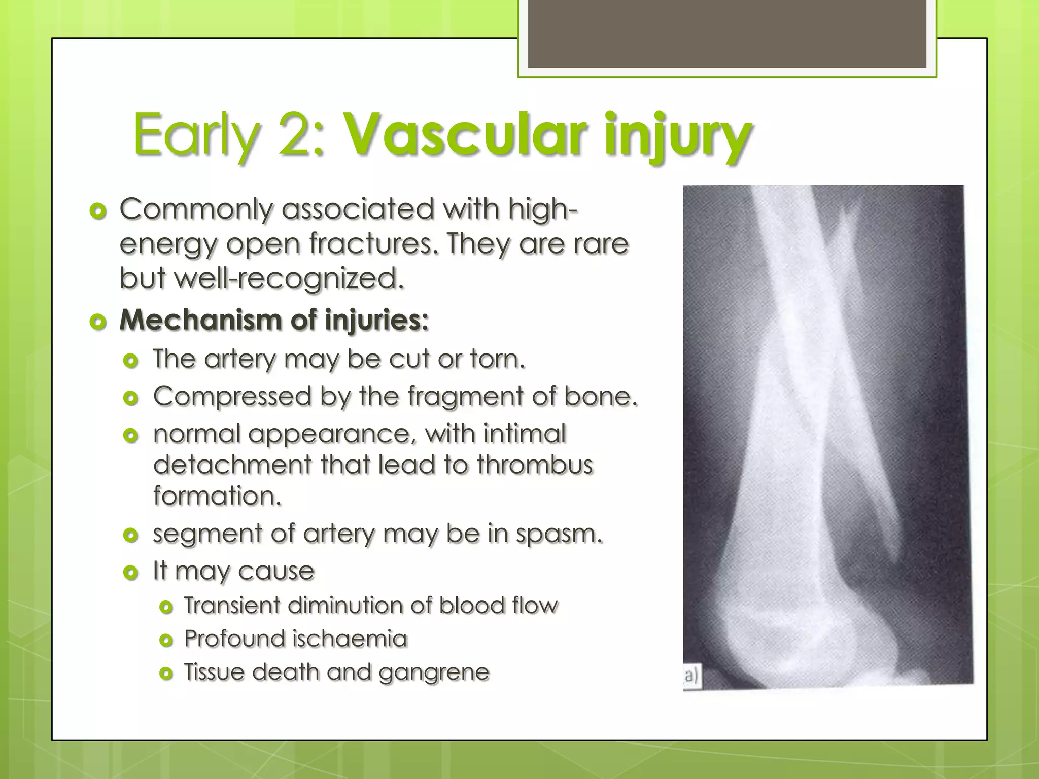 General 7: Gas GangrenePrevention: ALL DEAD TISSUE [4C] SHOULD BE COMPLETELY EXCISED, 