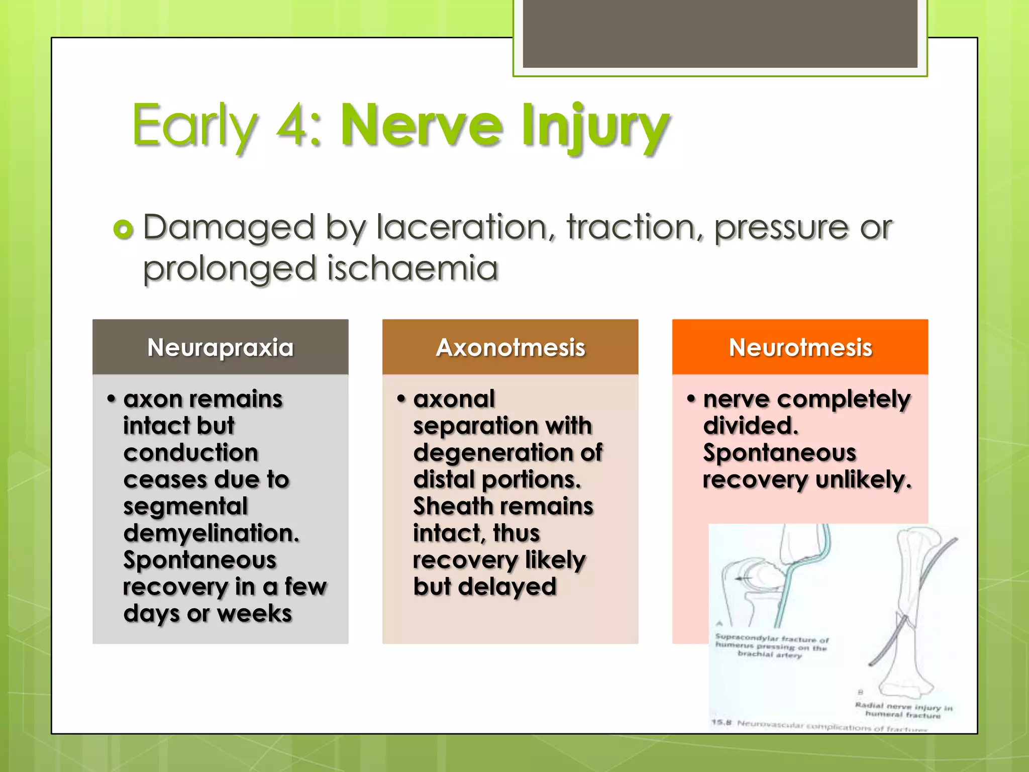 FasciotomyOpening all 4 compartmentsDivide skin and deep fascia for the whole length of compartmentWound left openInspect 5 days laterIf muscle necrosis, do debridementIf healthy tissue, for delayed closure or skin grafting