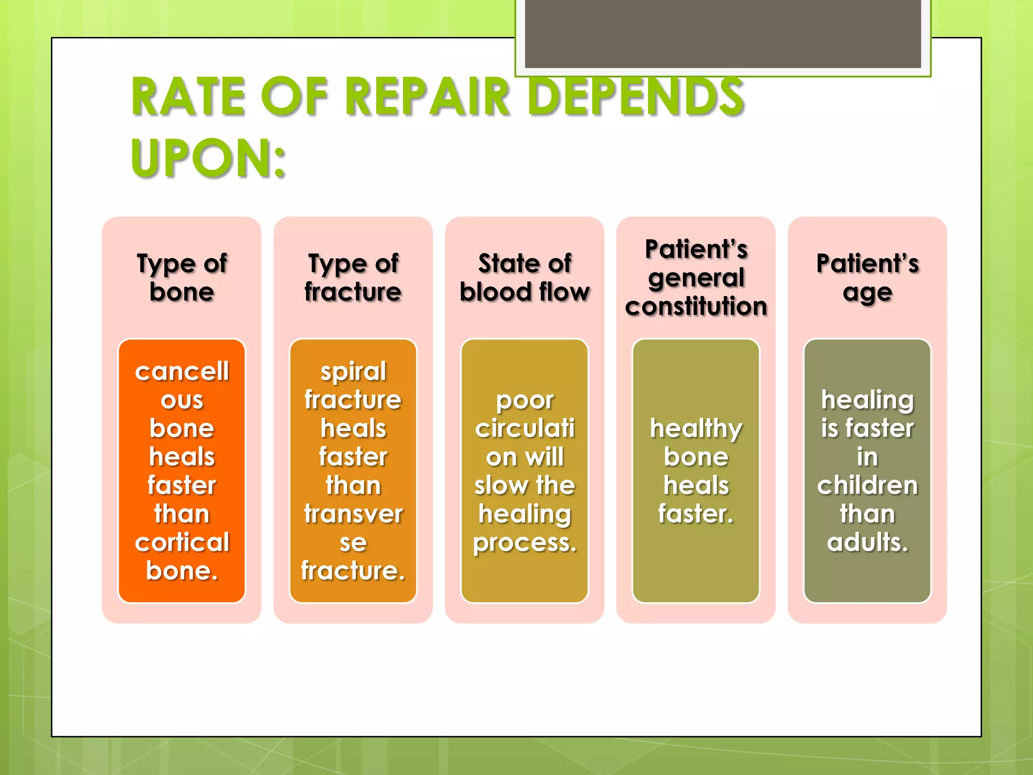RATE OF REPAIR DEPENDS UPON: