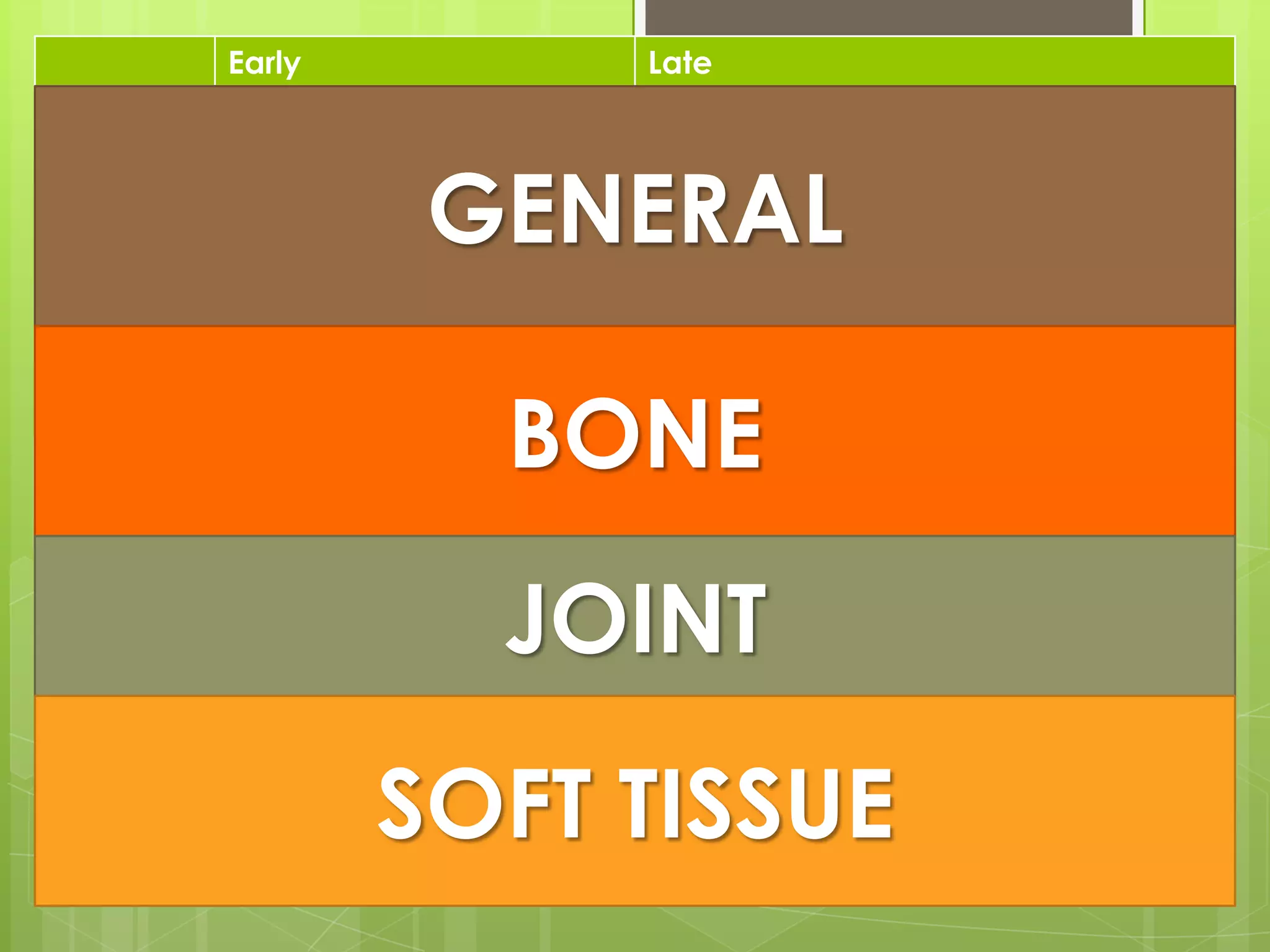 5) Fracture Stabilization