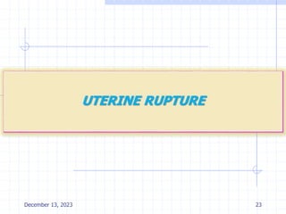 23
December 13, 2023
 