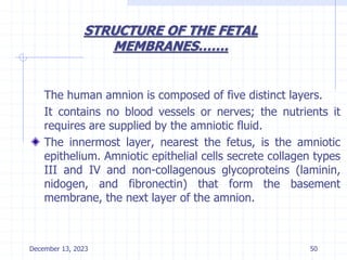 The human amnion is composed of five distinct layers.
It contains no blood vessels or nerves; the nutrients it
requires are supplied by the amniotic fluid.
The innermost layer, nearest the fetus, is the amniotic
epithelium. Amniotic epithelial cells secrete collagen types
III and IV and non-collagenous glycoproteins (laminin,
nidogen, and fibronectin) that form the basement
membrane, the next layer of the amnion.
STRUCTURE OF THE FETAL
MEMBRANES…….
December 13, 2023 50
 