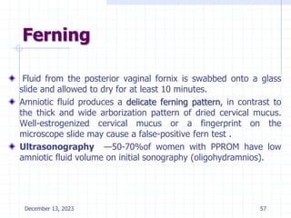 Ferning
Fluid from the posterior vaginal fornix is swabbed onto a glass
slide and allowed to dry for at least 10 minutes.
Amniotic fluid produces a delicate ferning pattern, in contrast to
the thick and wide arborization pattern of dried cervical mucus.
Well-estrogenized cervical mucus or a fingerprint on the
microscope slide may cause a false-positive fern test .
Ultrasonography —50-70%of women with PPROM have low
amniotic fluid volume on initial sonography (oligohydramnios).
December 13, 2023 57
 