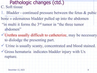 Pathologic changes (ctd.)
C. Soft tissue
1. Bladder - continued pressure between the fetus & pubic
bone » edematous bladder pulled up into the abdomen
“in multi it forms the 3rd tumor in “the three tumor
abdomen”
Urethra usually difficult to catheterize, may be necessary
to dislodge the presenting part.
 Urine is usually scanty, concentrated and blood stained.
Gross hematuria indicates bladder injury with Ux
rupture.
8
December 13, 2023
 