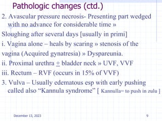Pathologic changes (ctd.)
2. Avascular pressure necrosis- Presenting part wedged
with no advance for considerable time »
Sloughing after several days [usually in primi]
i. Vagina alone – heals by scaring » stenosis of the
vagina (Acquired gynatresia) » Dyspareunia.
ii. Proximal urethra + bladder neck » UVF, VVF
iii. Rectum – RVF (occurs in 15% of VVF)
3. Vulva – Usually edematous esp with early pushing
called also “Kannula syndrome” [ Kannulla= to push in zulu ]
9
December 13, 2023
 