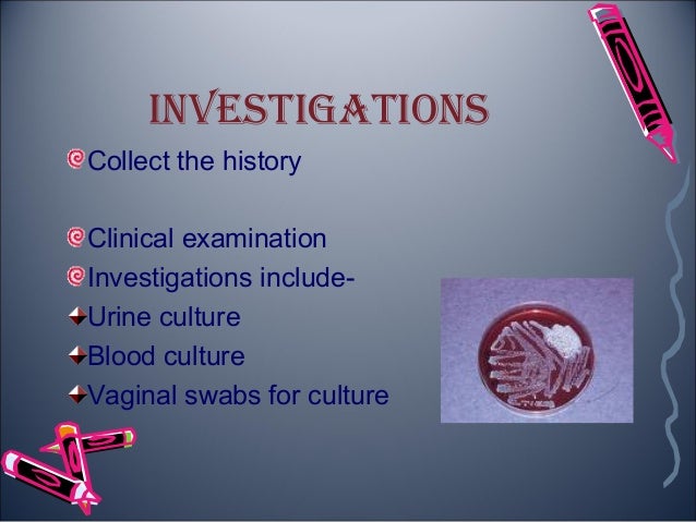 Clinical Chart Of Puerperium Clinical Chart Of Puerperium