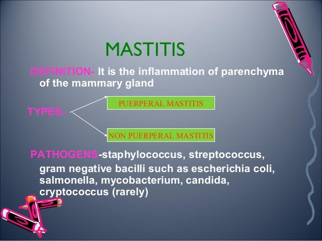 Pigeon Diseases Symptoms and Treatment