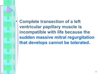 16
• Complete transection of a left
ventricular papillary muscle is
incompatible with life because the
sudden massive mitral regurgitation
that develops cannot be tolerated.
 