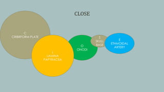 CLOSE
C
CRIBRFORM PLATE
O
ONODI
S
SKULL
BASE
L
LAMINA
PAPYRACEA
E
ETHMOIDAL
ARTERY
 
