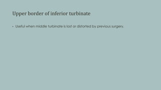 Upper border of inferior turbinate
• Useful when middle turbinate is lost or distorted by previous surgery.
 