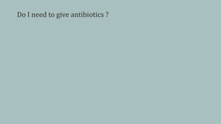 Do I need to give antibiotics ?
 