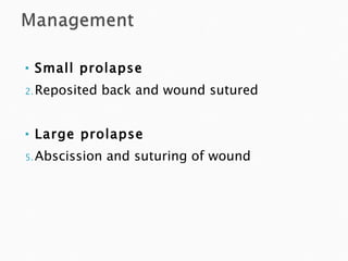 Small prolapse Reposited back and wound sutured Large prolapse Abscission and suturing of wound 