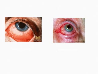 kellogg.umich.edu  sciencephoto.com  