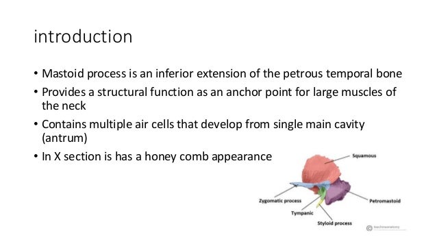 Complications of mastoiditis