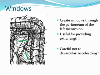 Windows
 Create windows through
the peritoneum of the
left mesocolon
 Useful for providing
extra length
 Careful not to
devascularize colostomy!
 